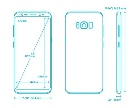 galaxy s8 screen size.